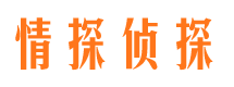 静宁侦探公司